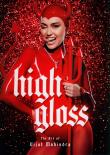 Okładka książki High Gloss