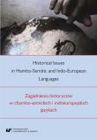 Historical Issues in Hamito-Semitic and Indo.... Autor: red. Ireneusz Kida. Dadada.pl Okładka książki Historical Issues in Hamito-Semitic and Indo...