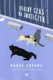 Idealny czas na smuteczek. Autor: Aoyama Nanae, Barbara Słomka, Anna Płaskoń-Sokoło. Dadada.pl Okładka książki Idealny czas na smuteczek