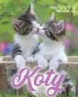 Opakowanie Kalendarz 2023 B4 Koty ARTSEZON
