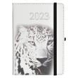 Opakowanie Kalendarz 2023 B6 dzienny Jazz tygrys ELEFANT