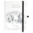 Opakowanie Kalendarz 2023 B6 tyg. Hip hop konie ELEFANT