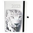 Opakowanie Kalendarz 2023 B6 tyg. Hip hop tygrys ELEFANT