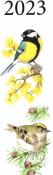 Opakowanie Kalendarz 2023 Nasze ptaki