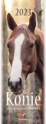Opakowanie Kalendarz 2023 pocztówkowy Konie