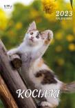 Opakowanie Kalendarz 2023 ścienny Kociaki