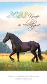 Opakowanie Kalendarz 2023 Ścienny Konie w obiektywie