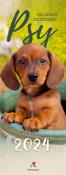 Opakowanie Kalendarz 2024 pocztówkowy Psy