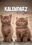 Opakowanie Kalendarz 2025 A6 Zdzierak MIX
