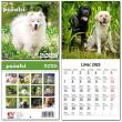 Opakowanie Kalendarz 2025 dla dzieci 16x32 13 plansz Psiaki