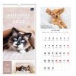 Opakowanie Kalendarz 2025 motywacyjny 22x46cm Koty