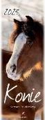 Opakowanie Kalendarz 2025 pocztówkowy Konie