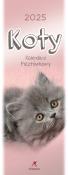 Opakowanie Kalendarz 2025 pocztówkowy Koty