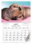 Opakowanie Kalendarz 2025 ścienny Lux Szczeniaki