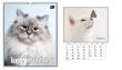 Opakowanie Kalendarz 2025 ścienny planszowy 33,5x40cm Koty