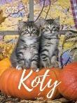 Opakowanie Kalendarz 2025 wieloplanszowy B4 Koty