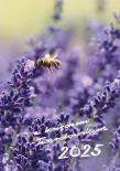 Okładka książki Kalendarz 2025 z ks. Twardowskim - pszczoła