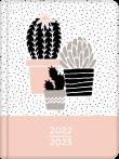 Opakowanie Kalendarz książkowy 18M 2022/2023 Kaktusy ALBI
