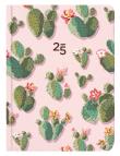 Opakowanie Kalendarz tygodniowy B6 Kaktusy ALBI