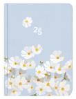 Opakowanie Kalendarz tygodniowy B6 Stokrotki ALBI