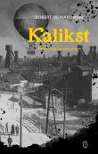 Kalikst. Fermentacja pragnień. Autor: Nowakowski Robert. Dadada.pl Okładka książki Kalikst. Fermentacja pragnień