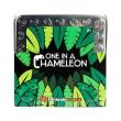 Opakowanie Kameleony Łamigłówka Magnetyczna