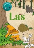Kolorowanka Las. Autor: Katarzyna Kopiec-Sekieta. Dadada.pl Okładka książki Kolorowanka Las