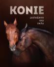 Konie. Pochodzenie, rasy, cechy. Autor: Patrycja Zarawska, Walkowicz Ewa. Dadada.pl Okładka książki Konie. Pochodzenie, rasy, cechy