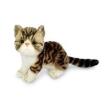 Opakowanie Kot exotic szaro biały 26cm