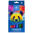 Opakowanie Kredki Triocolor Niedźwiedź 12 kolorów