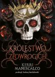 Królestwo Nikczemnych. Królestwo Złowrogich. Autor: Kerri Maniscalco. Dadada.pl Okładka książki Królestwo Nikczemnych. Królestwo Złowrogich