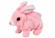 Opakowanie Króliczek chodzący krótka sierść różowy