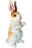 Opakowanie Królik 30cm