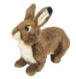 Opakowanie Królik brązowy 28cm