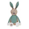 Opakowanie Królik Enzo beżowo-miętowy 27cm