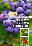 Krzewy i drzewa owocowe. Poradnik praktyczny.. Autor: Opracowanie zbiorowe. Dadada.pl Okładka książki Krzewy i drzewa owocowe. Poradnik praktyczny.