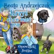 Krzyś chce mieć psa. Autor: Beata Andrzejczuk. Dadada.pl Okładka książki Krzyś chce mieć psa
