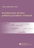 Kształtowanie się klasy polskich przyimków.... Autor: Aleksandra Janowska. Dadada.pl Okładka książki Kształtowanie się klasy polskich przyimków...
