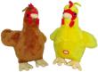 Opakowanie Kura z głosem 20cm MIX