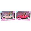 Opakowanie Lalka w aucie z akcesoriami MIX