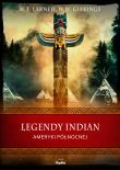Legendy Indian Ameryki Północnej. Autor: Gibbins W. W., Larned W. T.. Dadada.pl Okładka książki Legendy Indian Ameryki Północnej