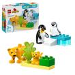 Opakowanie LEGO(R) DUPLO 10442 (4szt) Rodziny dzikich zwierząt