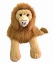 Opakowanie Lew 60cm