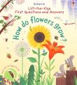 LTF FIRST Q&A HOW DO FLOWERS. Autor: Katie Daynes. Dadada.pl Okładka książki LTF FIRST Q&A HOW DO FLOWERS