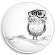 Opakowanie Magnes Sowa w okularach