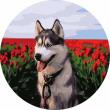 Opakowanie Malowanie po numerach okrągłe - Husky tulipany 40