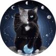 Opakowanie Malowanie po numerach okrągłe - Kot w kosmosie 40