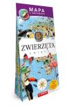 Mapy z naklejkami. Zwierzęta świata. Autor: Adamczak Agata, Kodyniak Anna. Dadada.pl Okładka książki Mapy z naklejkami. Zwierzęta świata