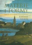 Materie i formy. Pojetyki szczegółowe sztuk.... Autor: Gilson Etienne, Maria Gawron-Zaborska, Janusz S.. Dadada.pl Okładka książki Materie i formy. Pojetyki szczegółowe sztuk...