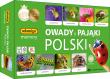 Opakowanie Memory - Owady i pająki Polski